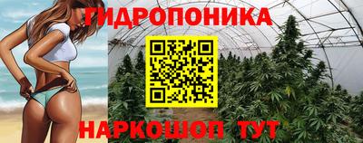гашик Рязань
