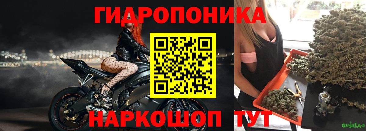 Канабис марихуана  Вход с VPN  Марихуана VHQ  Севастополь  Конопля LSD WEED 